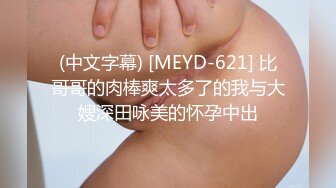 (中文字幕) [MEYD-621] 比哥哥的肉棒爽太多了的我与大嫂深田咏美的怀孕中出