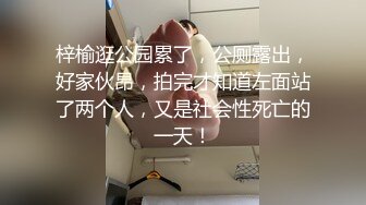 狗奴玩户外艺术拍摄