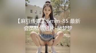 【麻豆传媒】wmm-85 最新会员私信短片-吴梦梦