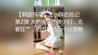 【韩国探花】之小胖历险记 第2弹 大肥猪狂艹美少妇，无套狂艹，功力不错，十分奈斯！